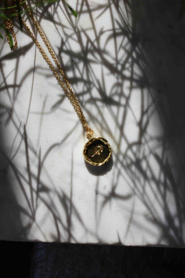 zodiac coin necklace