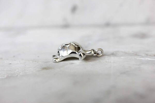 Silver Tortoise Necklace